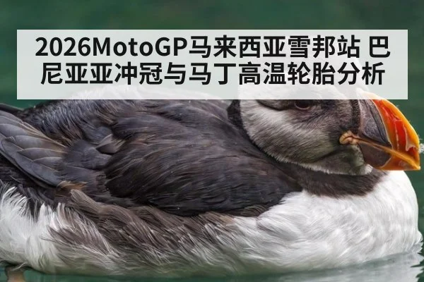 2026MotoGP马来西亚雪邦站 巴尼亚亚冲冠与马丁高温轮胎分析